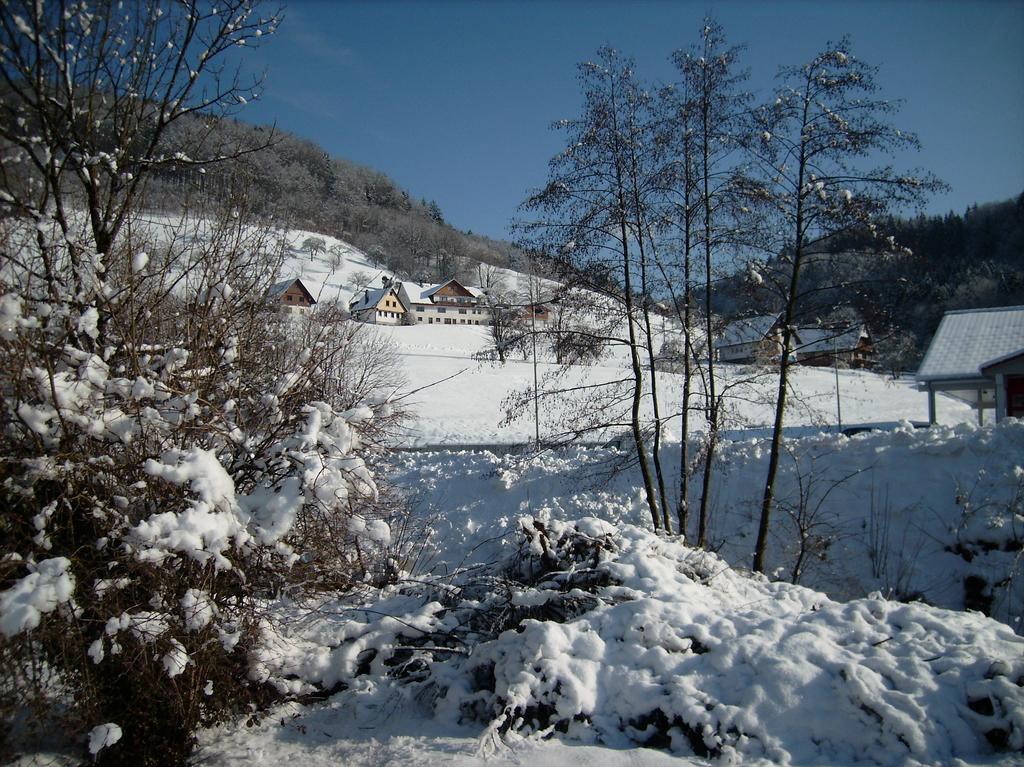 Finken, Gaestezimmer An Der Rench Oppenau Exterior foto